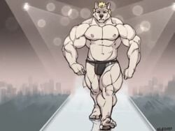 1boy 2020 4:3 abs alpha_male animated anthro areolae ball_bulge balls balls_under_clothes barazoku beefy big_bulge big_muscles black_underwear blonde_hair bouncing_bulge bulge canid canine canis clothing cocky daddy deltoids flaccid fur grey_body grey_fur hair light lighting looking_at_viewer loop male male_only mammal manly muscular muscular_anthro muscular_male navel oldshep pecs penis_bulge penis_outline penis_under_clothes plantigrade quads runway short_playtime solo spotlight topless underwear walk_cycle walking wolf