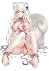 animal_ears bra breast_hold cameltoe feet furry nike1060 pantsu stockings tagme tail thighhighs