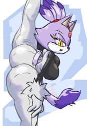 blaze_the_cat solratic solraticart sonic_(series) sonic_the_hedgehog_(series) stretching