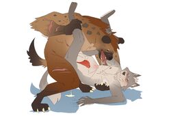 2boys absurd_res anal anthro anthro_on_anthro anthro_penetrated anthro_penetrating anthro_penetrating_anthro blush bodily_fluids canid canine canis cum curtis_wuedti drooling duo furry_only gay genital_fluids gnoll held_up hi_res hyaenid lying male male/male male_only male_penetrated male_penetrating male_penetrating_male mammal nipples no_humans on_back penetration penile penile_penetration saliva sinibun_95 wolf yaoi