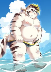 2020 absurd_res anthro belly blue_eyes blush bulge clothing felid fur genitals hi_res kemono licho_(tokyo_afterschool_summoners) male male_only mammal moobs navel nipples outside overweight overweight_anthro overweight_male pantherine penis ptcmtr solo speedo swimwear tiger tokyo_afterschool_summoners video_games water white_body white_fur