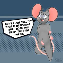 1:1 anthro balls belly dialogue english_text fur genitals grey_body grey_eyes grey_fur male male_only mammal mouse mouse_tail murid murine nimbus_(shountar) original pattern_background penis rodent shountar simple_background small_nose small_penis solo speech_bubble text