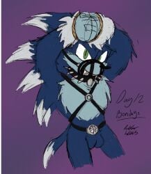 anthro chastity_cage chastity_device collar eulipotyphlan harness hedgehog hi_res leather leather_harness male male_only mammal muzzle_(object) rope rubberh0es_(artist) sega solo sonic_(series) sonic_the_hedgehog sonic_the_hedgehog_(series) sonic_the_werehog sonic_unleashed spiked_collar spikes werecreature wereeulipotyphlan