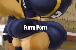 1boy 1futa 2018 anthro ass big_ass big_breasts big_penis breasts bulge cum faceless_character faceless_human furry futanari genitals glans_outline huge_ass huge_breasts huge_cock huge_penis human hyper hyper_ass hyper_breasts hyper_genitalia hyper_penis male mammal meme nipple_outline penis snao tagme thick_thighs volleyball_butts_(meme)