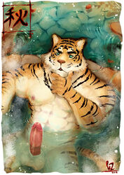 1boy anthro balls erection feline fur furry male male_only penis pockyrumz solo tiger water