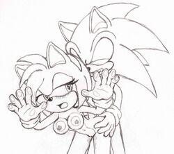 amy_rose anthro blush breasts female fur furry furry_only hedgehog large_breasts male mammal monochrome open_mouth sex sonic_(series) sonic_the_hedgehog sonikdude750 standing straight