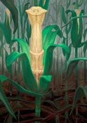 animal_genitalia animal_penis corn equine_genitalia equine_penis field food genitals hi_res humor leaf penis plant