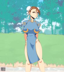 alternate_version_available bikini breasts brown_eyes brown_hair capcom chun-li dress female female_only light_skin rmumu short_hair street_fighter tagme