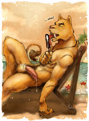 1boy anthro balls erection feline fur furry licking male male_only penis pockyrumz solo tongue