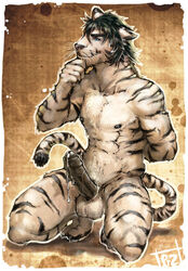 1boy anthro balls barefoot erection feline fur furry male male_only naked nude penis pockyrumz solo tiger