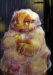 2013 amphibian anthro belly blush censored chiro_(artist) clothing coat frog genitals kemono male male_only messiah_rundall night outside overweight overweight_anthro overweight_male penis raincoat raining solo topwear