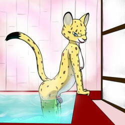 1:1 1boy aggressive_retsuko balls bath eyewear felid genitals glasses hyoudou_(aggretsuko) leopard looking_at_viewer male male_only mammal nude pantherine penis sanrio smooth_fur solo trashbadger water