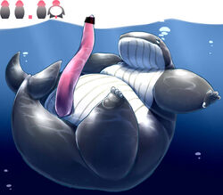 2014 anthro belly big_dick_day big_penis black_body censored cetacean chiro_(artist) erection genitals kemono male male_only mammal marine overweight overweight_anthro overweight_male penis solo underwater water white_body