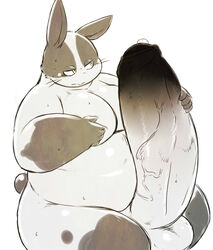 2015 anthro balls big_penis chiro_(artist) erection genitals humanoid_hands kemono lagomorph leporid male male_only mammal overweight overweight_anthro overweight_male penis rabbit simple_background sitting solo white_background