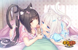 1boy 2girls animal_ears animal_tail ass cat_ears cat_tail censored chocola_(sayori) collaborative_fellatio double_fellatio fellatio game_cg mosaic_censoring multiple_girls nekopara nipples paid_reward panties penis sayori tagme teamwork vanilla_(sayori)