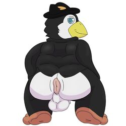 1:1 anthro anus avian balls beak bird blue_eyes clothing dove_the_penguin feathers feet genitals hat headgear headwear hi_res male male_only pandao3o penguin solo