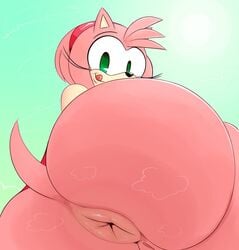 amy rose from sega by ota (artist)