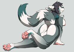 1futa anthro anus areolae ass backsack balls black_hair black_nose blue_eyes breasts canid canine canis crisstail curvy erect_nipples fur furry futa_only futa_sans_pussy futanari genitals grey_background grey_body grey_fur hair hybrid intersex large_ass large_balls large_breasts looking_back mammal multicolored_body multicolored_fur nipples nude pawpads pink_areola pink_pawpads presenting presenting_hindquarters procyonid raccoon raised_tail reiklo simple_background smile solo solo_female solo_futa striped_tail stripes taint white_balls white_body white_breasts white_fur wide_hips wolf