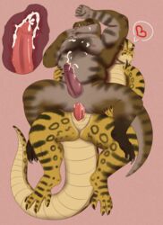 anaconda anal anal_sex anthro anthro_on_anthro anthro_penetrated anthro_penetrating anthro_penetrating_anthro biceps boa_(snake) bodily_fluids boinae cum cum_inside dinosaur duo furry_only genital_fluids hi_res male male/male male_penetrated male_penetrating male_penetrating_male muscular muscular_male nipple_piercing nipples no_humans pecs penetration penile penile_penetration piercing reptile scalie slightly_chubby snake theropod treebarkdragon tyrannosaurid tyrannosaurus