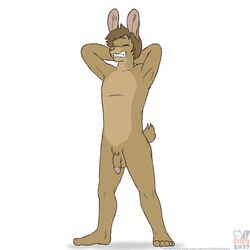 1:1 anthro barefoot brown_body brown_fur brown_hair feet flaccid fur genitals grin hair hands_behind_head hare hi_res humanoid_feet kyle_(ccwoah) lagomorph leporid male male_only mammal nude nudism nudist penis rabbit sammfeatblueheart smile smirk solo text url