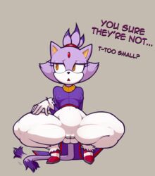 blaze the cat from sega by freepancakes