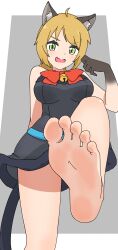 1girls beyond_the_boundary cat_ears cat_tail feet foot_fetish foot_focus from_below kanbara_yayoi kanzenseimeitai kyoukai_no_kanata low-angle_view mature_female milf upskirt