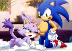 blaze the cat from sega by bbmbbf