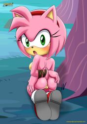 amy rose from sega by bbmbbf