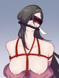 1girls big_breasts blindfold bondage brown_hair female fire_emblem fire_emblem_fates gag gagged kagero_(fire_emblem) large_breasts long_hair mouth_gag nintendo nipple_piercing nipples one_eye_covered power_(artist) restrained rope rope_bondage saliva solo solo_female sweat