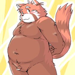 1:1 2007 ailurid anthro belly blush digital_media_(artwork) flaccid fur futaba_kotobuki genitals kemono low_res male male_only mammal oekaki overweight overweight_anthro overweight_male penis red_body red_fur red_panda solo takagi_kyou trouble_(series)