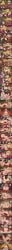 !? 5_toes after_fellatio after_sex after_vaginal ai_generated amadeus_v anus arched_back armpits arms_up armwear asphyxiation ass ass_grab balls bandeau bare_shoulders barefoot bed belt big_belly big_breasts big_butt big_penis bike_shorts black_clothing black_gloves black_shorts black_skirt black_thighhighs blonde_hair blunt_bangs blush bodily_fluids boots bottomless bottomwear breast_play breast_suck breast_sucking breastfeeding breasts breasts_apart bridal_gauntlets bulge burnice_white censored choker cleavage closed_eyes closed_mouth clothed clothes_lift clothing comic comic_strip completely_nude cowgirl_position crop_top cropped_jacket cross_section cum cum_drip cum_in_mouth cum_in_pussy cum_in_uterus cum_inside cum_on_body cum_overflow cumdrip cumshot deep_throat deepthroat dialogue doggy_style duo ejaculation elbow_gloves english_text erection exclamation_point eye_roll eyewear eyewear_on_head face_fucking faceless_character facial feet felid fellatio female female/female female_ejaculation female_focus female_penetrated finger_in_another's_mouth fingering fingerless_gloves first_person_view footwear forced_oral french_kiss from_behind_position from_front_position from_side fur furniture futa_on_female futa_on_female, futa_with_female futanari genital_fluids genitals girly gloves goggles good_girl grabbing grabbing_another's_breast green_eyes gynomorph gynomorph/female gynomorph_penetrating gynomorph_penetrating_female hair hair_ornament half-closed_eyes hand_on_another's_head hand_on_another's_neck handjob handwear heart heart-shaped_pupils high_heel_boots high_heeled_boots high_heels hotpants huge_cock imminent_penetration imminent_sex indoors inside internal internal_cumshot internal_vaginal intersex intersex/female intersex_penetrating intersex_penetrating_female irrumatio jacket ju_fufu kissing large_breasts large_penis leather leg_lift leg_lock leg_up leg_wrap legs_up legwear light_body long_comic long_hair long_image looking_at_another looking_at_genitalia looking_at_penis looking_back looking_pleasured lying mating_press medium_breasts midriff mihoyo missionary missionary_position mole mommy multicolored_hair multiple_girls navel neck_bulge nipples no_bra nose_blush nude on_back on_bed on_bottom on_top open_clothes open_jacket open_mouth oral oral_penetration orange_body orange_eyes orange_hair orgasm orgasm_face otoko_no_ko pantherine patreon_logo patreon_username penetration penile penile_penetration penis penis_awe penis_in_pussy pillow pov power_bottom precum pregnant pregnant_female projectile_cum pussy pussy_ejaculation pussy_juice raised_leg red_eyes red_shirt reverse_cowgirl_position saliva sex sex_from_behind sheet_grab shirt shirt_lift short_hair short_shorts short_sleeves shorts sitting skindentation skirt slap_mark slapping sleeveless small_breasts smile soles solo solo_focus spank_marks spanked spanking speech_bubble spikes spoken_heart spread_legs spreading standing standing_sex stomach_bulge straddling straight strangling streaked_hair stripes sucking sunglasses sweat tagme tail teeth testicles text thigh_boots thigh_highs thighhighs thighs throat_swabbing tiger tiger_ears tiger_girl tiger_tail tight_clothing toes tongue tongue_out topwear torn_clothes torso_grab twintails two-handed_handjob uncensored under_boob underboob upper_teeth_only uterus vaginal_penetration vein veins veiny_penis web_address white_hair x-ray yellow_eyes yellow_shirt yuri zenless_zone_zero