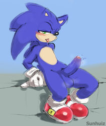 sonic the hedgehog from sonic (series) by sunhuiz