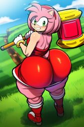 amy rose from sonic the hedgehog (series) by madroshi
