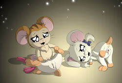 anthro anus ass bijou bijou_(hamtaro) clitoral_hood clitoris cricetid female genitals hamster hamtaro_(series) hi_res mammal neck_tuft onstatobol pashmina_(hamtaro) presenting presenting_anus presenting_hindquarters presenting_pussy pussy rodent sandy_(hamtaro) spread_legs spread_pussy spreading tuft