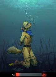 2019 absurd_res aldermoth animal_genitalia anthro arms_tied arms_tied_behind_back asphyxiation balls belt_bondage blue_blush blue_markings blush bondage bound brown_paws bubble canid canine canis clenched_teeth cough desperation drowning fully_sheathed fur genitals hi_res jasper_(jasperazzi) kerchief kneeling legs_tied looking_up male male_only mammal markings pawpads restraints rope rope_bondage sea seabed seaweed shaking sheath solo_male squirming struggling teeth trembling underwater water wolf yellow_body yellow_fur yellow_pawpads