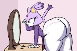 blaze the cat from sega by sherbetjester