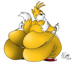 ass fat fat_ass male measuring_tape miles_prower obese overweight sega sonic_(series) sonic_the_hedgehog_(series) squish tails xanderdwulfe