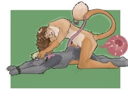 absurd_res american_curl anthro blonde_hair blue_eyes bodily_fluids bound brown_hair cis/trans collar cum cum_drip cum_in_vagina cum_inside curly_hair domestic_cat dripping duo ear_piercing ejaculation entwined_tails facial_piercing felid feline felis fluffy fluffy_tail fur fur_markings gauged_ear genital_fluids green_eyes grey_inner_ear_fluff grey_markings hair hairless_tail hands_tied hi_res impregnation inner_ear_fluff intersex long_hair male male/male mammal markings mastectomy_scar multicolored_body multicolored_fur murid murine nose_piercing nose_ring open_mouth open_smile ovum ovum_with_heart partners penetration piercing pink_inner_ear pink_tail rat ring_piercing rodent romantic romantic_couple rule_63 scar septum_piercing septum_ring short_hair simple_background smile sperm_cell stinky0ratboy straight_hair tail tail_coil tan_inner_ear tan_inner_ear_fluff tan_markings trans_(lore) trans_man_(lore) tuft vaginal_penetration