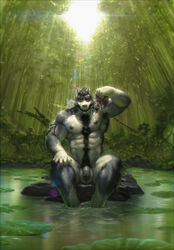 5_fingers abs absurd_res anthro areola armpit_hair balls bamboo bamboo_forest biceps big_balls black_eyebrows black_hair black_nose body_hair bowl canid canine canis chest_tuft closed_eyes eyebrows fingers forest front_view fur genitals grey_body grey_fur hair happy_trail hi_res humanoid_genitalia humanoid_penis long_hair male male_only mammal multicolored_body multicolored_fur muscular muscular_anthro muscular_male nails nipples nude nviek5 outside pecs penis pink_areola pink_nipples plant pouring raised_arm rock scar serratus sitting solo tattoo tree tuft uncut water white_body white_fur wolf