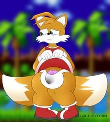 amy_rose_(cosplay) blue_eyes bulge crossdressing cum cum_stain dick dress_lift fox furry green_hill_zone male male_only panties penis precum sega semen shame sonic_(series) sonic_the_hedgehog_(series) tails terebision