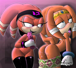 anthro dildo duo echidna female female/female hearlesssoul hi_res madpixel mammal monotreme sex sex_toy shade_the_echidna sonic_(series) sonic_adventure sonic_chronicles:_the_dark_brotherhood sonic_the_hedgehog_(series) tikal_the_echidna yuri