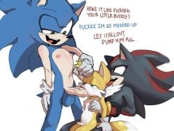 shadow the hedgehog from sega by anitwenty