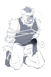 1boy absurdres arknights biceps black_hair black_socks black_tank_top bondage bulge chinese_commentary commentary_request dmsjji12 ear_piercing erection erection_under_clothes fangs furry furry_male greyscale heart highres hyena_boy hyena_ears hyena_tail infection_monitor_(arknights) kneeling loincloth looking_to_the_side male_focus monochrome multicolored_hair muscular muscular_male open_mouth partially_colored penis piercing socks speech_bubble spoken_heart spot_(arknights) streaked_hair tank_top tongue tongue_out white_background