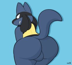 1boy anthro ass backsack balls birdvian genitals hi_res looking_back lucario male male_only nintendo pokemon pokemon_(species) raised_tail simple_background solo video_games