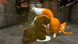 2_tails 3d_(artwork) absurd_res after_sex anthro anus ass atlus backsack balls big_ass big_butt bodily_fluids canid canine cum digital_media_(artwork) duo ejaculation feces felid feline femboy fox genital_fluids genitals hi_res huge_ass huge_butt hyper_feces hyper_scat kane_brent_koopa kanebrentkoopa male male/male mammal megami_tensei morgana_(persona) multi_tail nipples overweight pecs penis persona_(series) persona_5 pooping_on_floor relieved scat sega sonic_(series) sonic_the_hedgehog_(series) tail tails tails_the_fox thick_thighs warehouse wide_hips