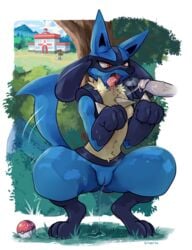 2020 angry anthro areola blue_body blue_fur bodily_fluids breasts canid canine crouching darkluxia detailed_background disembodied_penis drooling duo edit erection female fur genital_fluids genitals hi_res lucario male mammal nintendo nipples offscreen_character open_mouth oral outside penis pokéball pokemon pokemon_(species) public public_nudity pussy pussy_juice red_eyes saliva saliva_on_penis saliva_on_tongue saliva_string small_breasts solo_focus straight tailwag teeth tongue tongue_out video_games