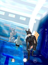 absurd_res anthro athletic camera_view canid canine canis clothing crouching dobermann domestic_dog english_text flaccid fox genitals group hi_res male mammal penis phone pinscher shower showering solo_focus speedo swimming_pool swimwear text undressing wet wolf wolftea42 young