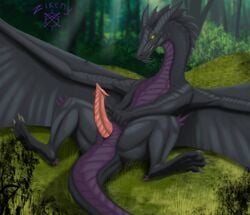 animal_genitalia anus ass black_body black_dragon black_scales bodily_fluids dragon erection feral forest genital_fluids genitals grass hi_res horn lying male male_only mountain multicolored_body on_back penis precum purple_body purple_scales scales scalie solo tree western_dragon zikeny