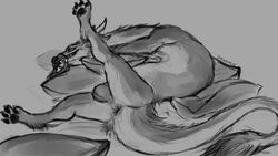 16:9 2020 4_toes animal_genitalia anus asian_mythology balls barbel_(anatomy) black_and_white black_pawpads claws curved_horn dradmon dragon east_asian_mythology eastern_dragon feral flesh_whiskers fur furred_dragon genitals grey_anus grey_background grey_balls grey_body grey_ears grey_feet grey_fur hi_res horn looking_at_viewer looking_back lying male monochrome multicolored_body multicolored_fur mythology noodle_(pur3) on_pillow on_side one_leg_up pawpads pillow presenting presenting_anus presenting_balls pupils quadruped raised_leg rear_view sharp_claws sharp_teeth sheath signature simple_background sketch slit_pupils smile smooth_horn solo tail_aside tail_tuft teeth toe_claws toes tuft two_tone_body two_tone_fur whisker_ring white_body white_claws white_fur white_horn widescreen wingless_dragon