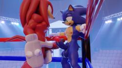 16:9 3d balls clothing duo echidna erection eulipotyphlan fighting_ring footwear frottage genitals gloves handwear hedgehog hi_res knuckles_the_echidna male male/male male_nipples male_only mammal monotreme mostly_nude muscular nipples penis sex sonic_(series) sonic_the_hedgehog sonic_the_hedgehog_(series) standing swordfight twintailssfm video_games widescreen